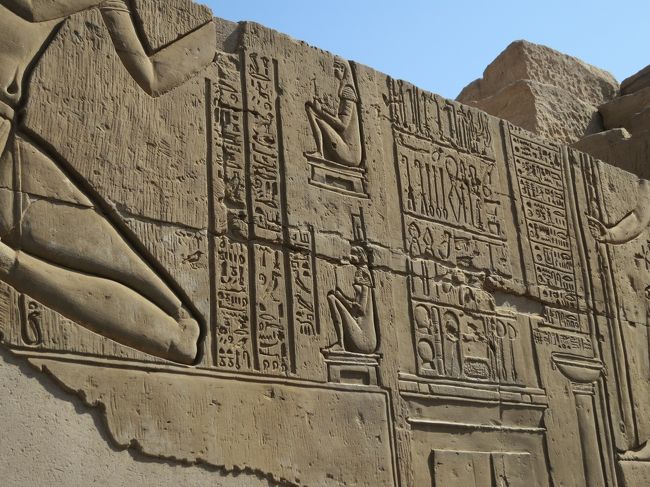 出産シーン<br /><br /><br /><br />珍しいらしい