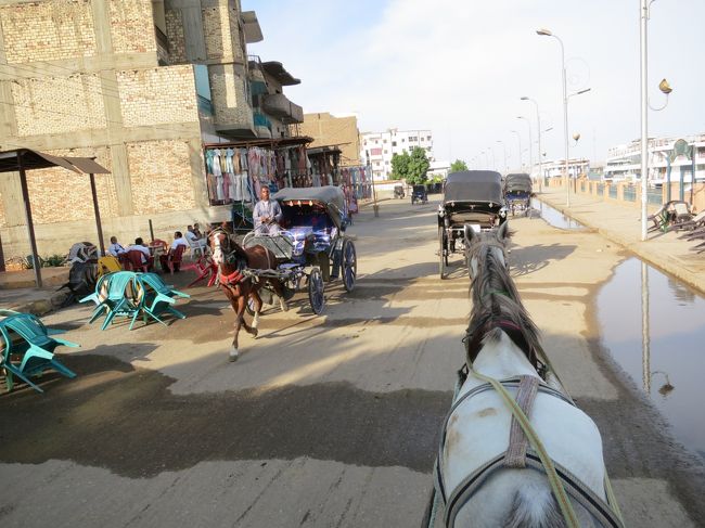 ホルス神殿にはクルーズ船を降りて、馬車で移動<br /><br /><br />しかしこの馬車が結構くせものだった。<br /><br /><br />みんなと違うルート走り、<br />停まって写真撮ってやるから金よこせとか。<br /><br /><br /><br />クソガキ早くホルス神殿につれてけよと。