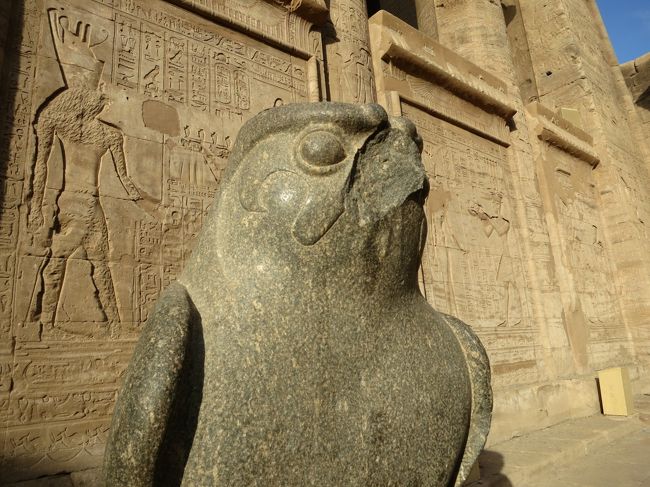 くちばしがーーー