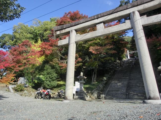 四條畷神社　ご近所で見つけた秋と 感動したお話
