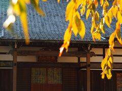 新宿通りから南側には、寺院がたくさんあります。

昔、新宿通りに出る時の通り道でみかけていた西念寺。このお寺のすぐ近くに、昔住んでいたマンションがあります。まだ、当時のままありました〜。懐かし〜！

