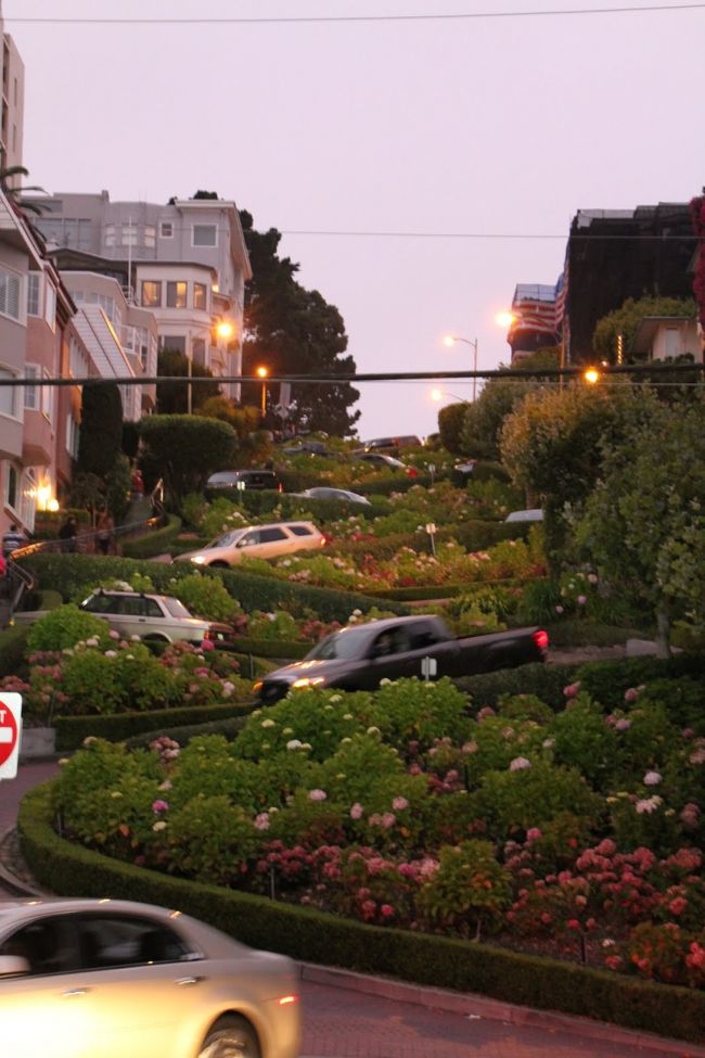 ロンバート・ストリートの坂をレンタカーで降りてきました。観光客の車で大渋滞ですので、とろとろ走れてゆっくり見物できました。