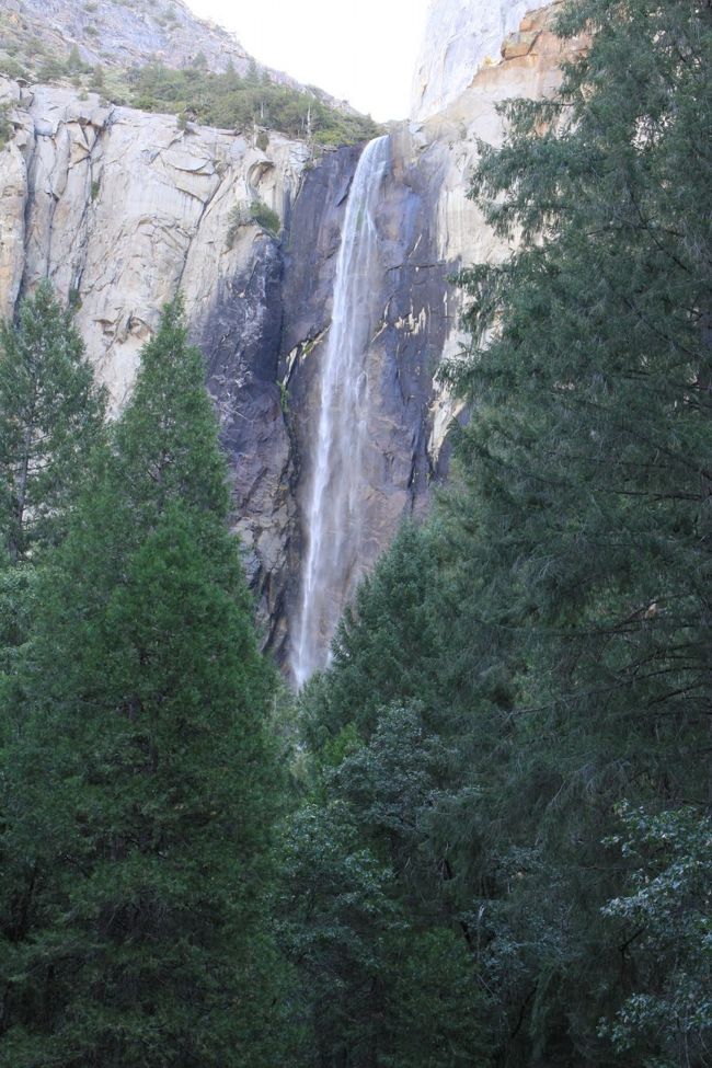 秋なので水は少なめです