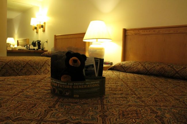 部屋には熊ちゃんのヌイグルミがお出迎え