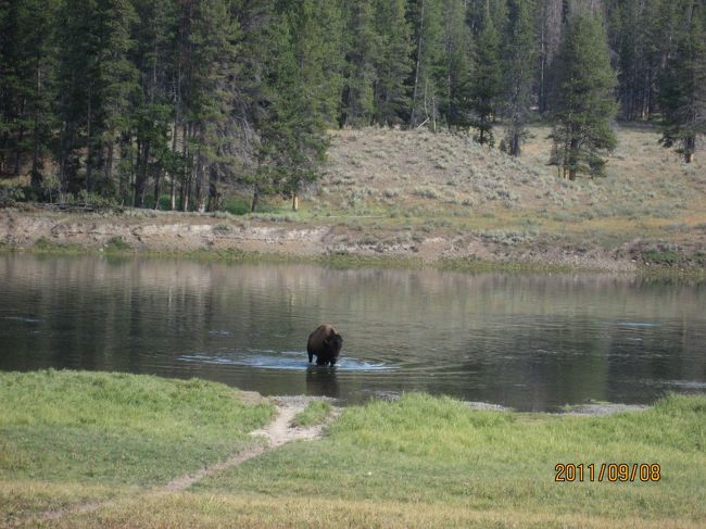 もしかすると初のフゴフゴ？