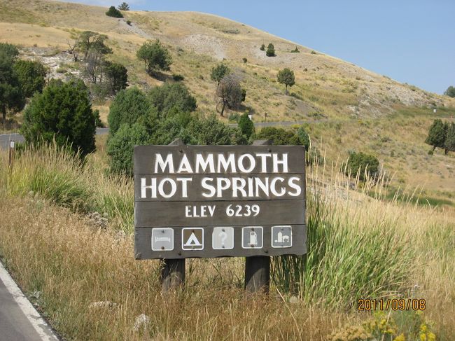 マンモスフィールドへ移動