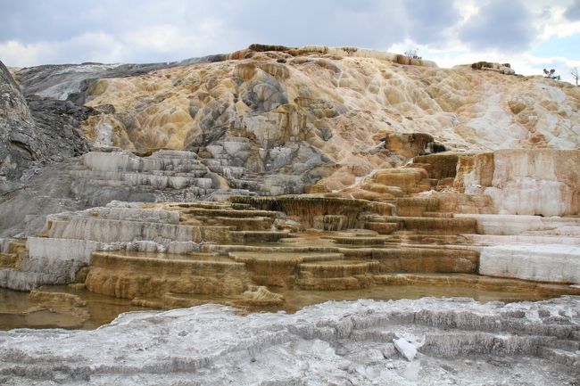 次は、Mammoth Hot Springsです。