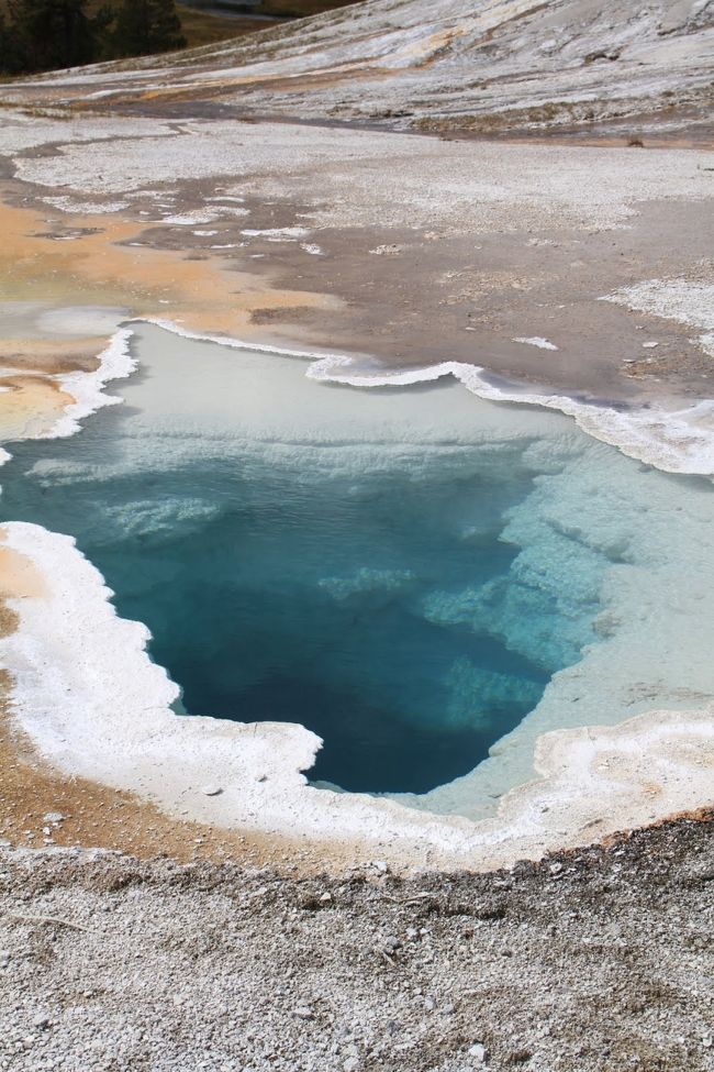 しばらくは、Poolを撮影しての散歩です。遊歩道で１時間以上は歩いたかと