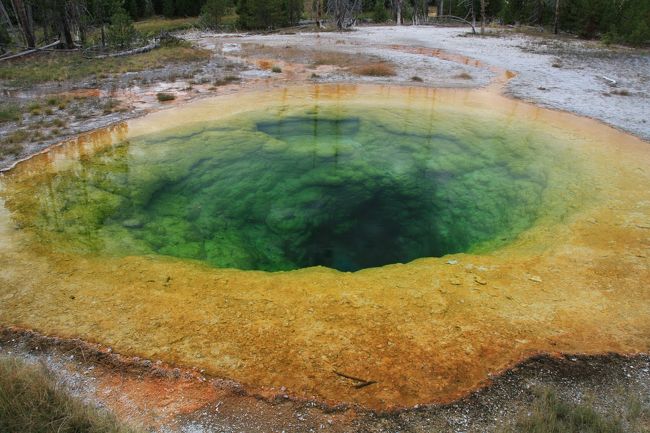 Morning Glory Poolがどれかが分からなくなって・・・