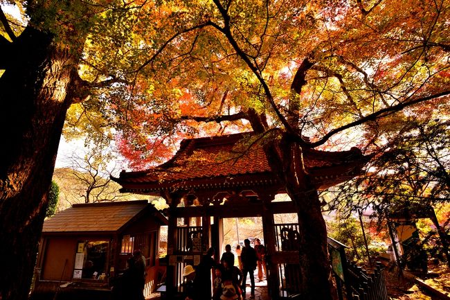 富貴寺の紅葉 宇佐 豊後高田 大分県 の旅行記 ブログ By 気まぐれなデジカメ館さん フォートラベル