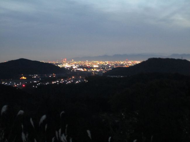 ズームすると更にピンボケ<br />真中の灯りは名古屋の北部方面　守山区や北区の辺りです