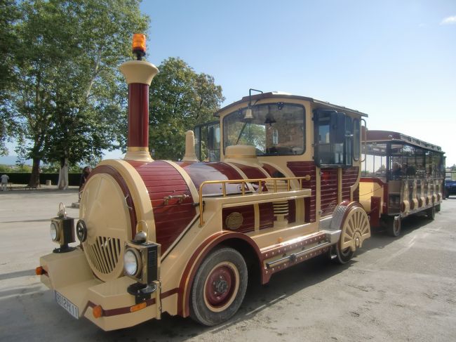 ここの中は、こんなかわいい乗り物で、見物できます。