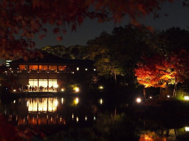 美しくライトアップされる紅葉を眺めて 錦を纏う徳川園 紅葉祭 紅葉よりも美しく輝く姫たち あいち戦国姫隊の演舞 千種 今池 愛知県 の旅行記 ブログ By 4人目のふーさん フォートラベル 美しくライトアップされる紅葉を眺めて 錦を纏う徳川園 紅葉祭 紅葉よりも美しく輝く姫たち あいち戦国姫隊の演舞 千種 今池 愛知県 の旅行記 ブログ By 4人目のふーさん フォートラベル