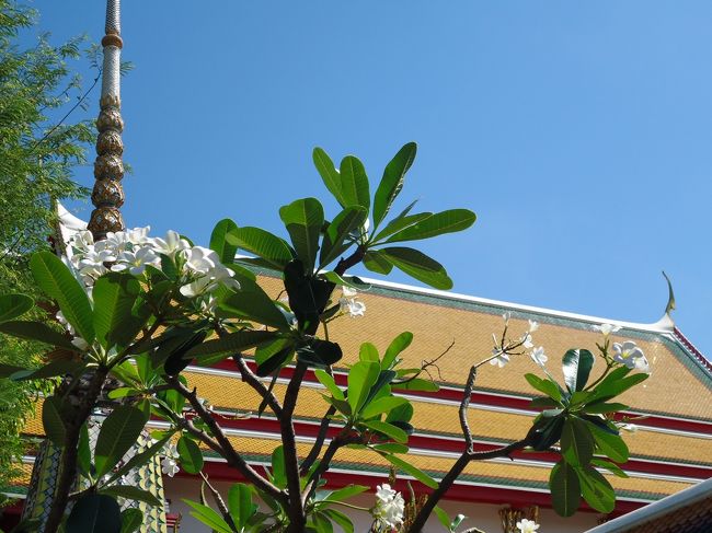 <br />マッサージも終わり<br /><br />これからどーしようかと考え<br /><br />パラダイスマーケットへ行くことにしました。<br />