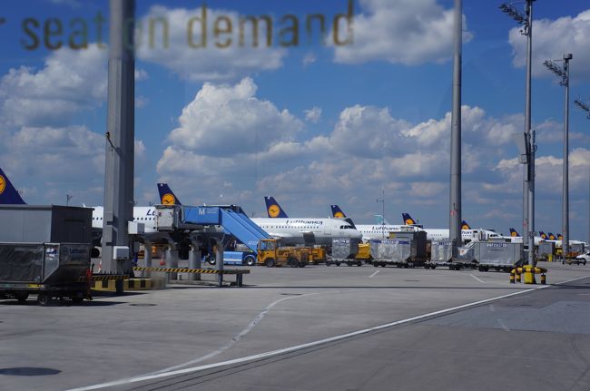 ＡＬＬ　ＬＨ！<br />お行儀良く並んでるね〜（笑）