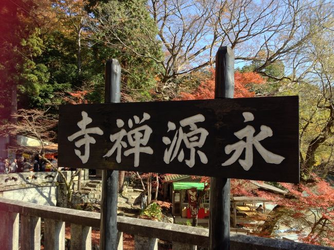 お天気も良く　紅葉シーズンまっただ中。<br />途中で立ち寄った　高速道路のサービスエリアも見たことがないほどの人混み。<br />トイレも大渋滞でした。<br />が、道路はほとんど渋滞もなく　最初の目的地の永源寺に到着。<br /><br />