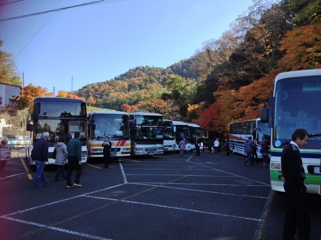 駐車場は観光バスだらけ！<br />一般車は駐車待ちで、道路は少し渋滞していました。<br /><br /><br />