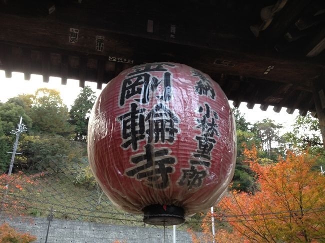 またバスに乗り込み、次の目的地　湖東三山の金剛輪寺<br />をめざします。<br /><br />近江八幡から３０分ほどで到着。<br /><br /><br />金剛輪寺は、本堂の大悲閣が国宝です。