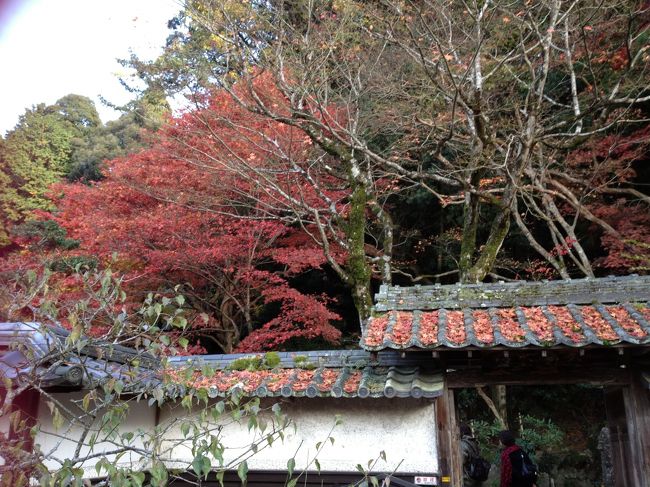 池泉回遊式の日本庭園<br /><br />こちらも必見!<br /><br />