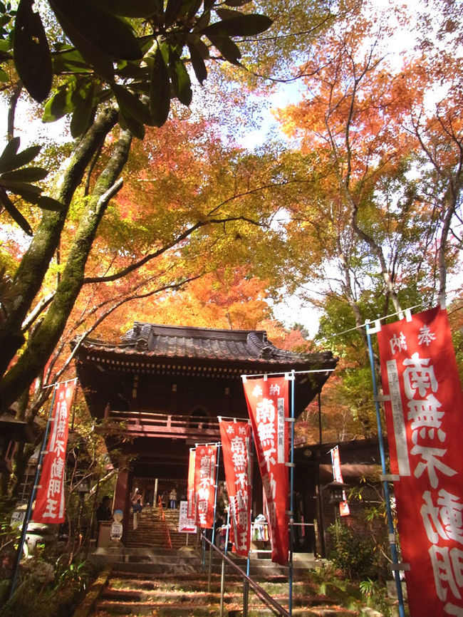 山口 紅葉名所巡り 龍蔵寺 瑠璃光寺 両足寺 山口市 山口県 の旅行記 ブログ By Wokaさん フォートラベル