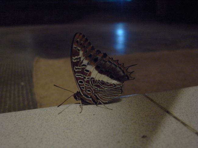 ５：００起床、部屋のドアを開けると・・・