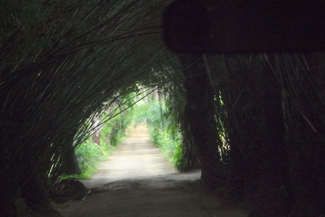 竹林を抜けると保護区に到着