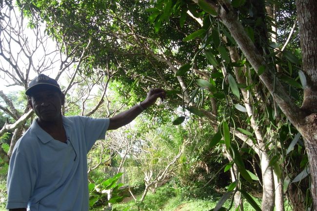 バニラと現地ガイドさん