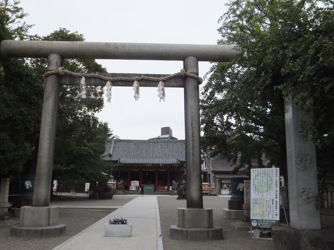 浅草神社鳥居<br />本殿、幣殿、拝殿とも国指定の重要文化財<br />浅草寺本堂の東側にあり、浅草寺の本尊を発見した檜前浜成・竹成の兄弟と土師仲知の３人を祭神としたのが浅草神社。<br />三神を祀ることから三社樣とも呼ばれています。<br />現在の社殿は1649年（慶安2）家光によって再建されたもので、江戸時代初期の建築物が残っている貴重なもの。