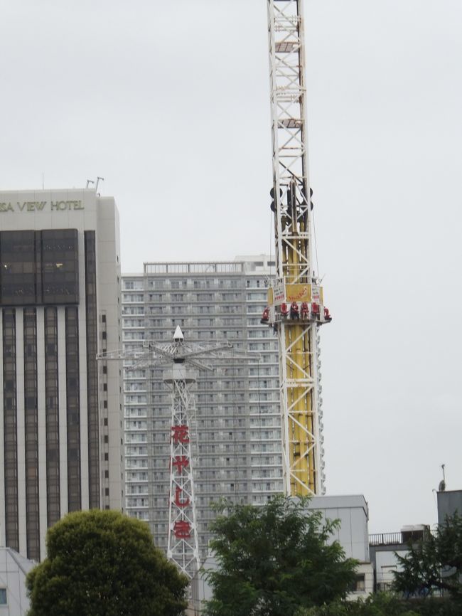 花やしきも見えます。