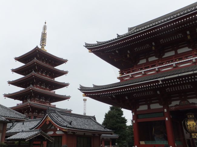 五重の塔<br /><br />建物の上に五重の塔が建っている搭院づくり<br />当初の五重塔は942年（天慶5）に平公雅によって本堂の東南側に建てられたが、何度か火災による焼失の後、1648年（慶安元）徳川家光が再建、これも昭和20（1945）年の戦災で焼失の後、昭和48（1973）年参道を挟んで反対側、本堂の西南に再建された。<br />地上からの高さ：53.32m（搭の高さ48.32ｍ、うち九輪部分15.07ｍ）。<br />最上階の五層にはスリランカ伝来の仏舎利が納められている。この仏舎利は日本の関係者の尽力とスリランカ（当時はセイロン）政府及び仏教界の好意により、古都アヌダラプタのイスルムニヤ寺院から贈呈されたものです。