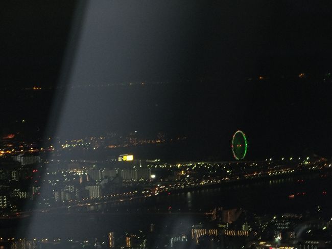 展望回廊より<br /><br />観覧車も見えます。