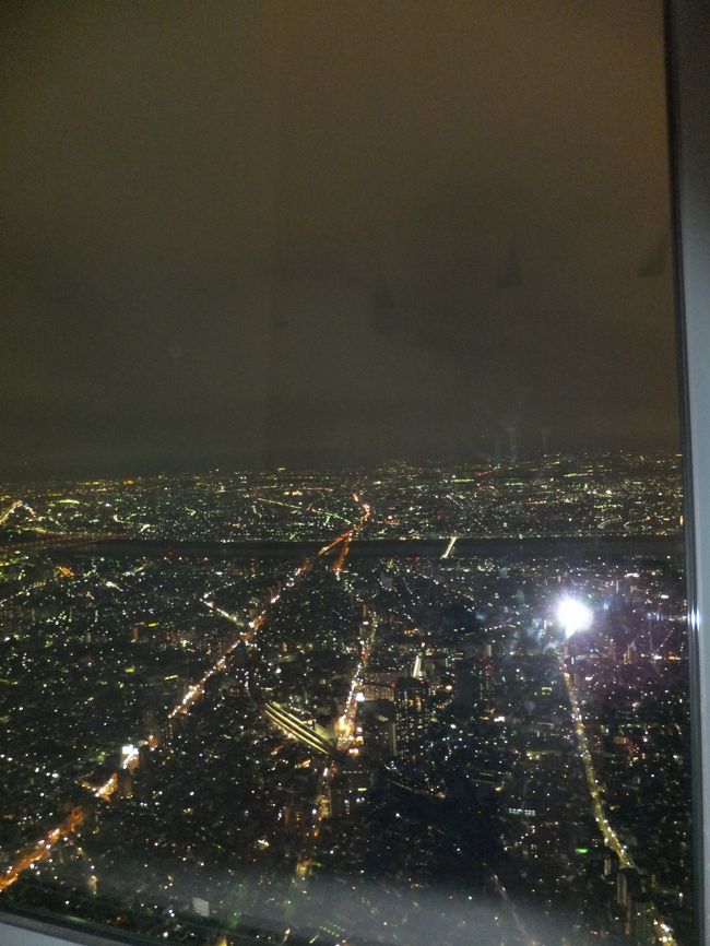 展望回廊より<br />