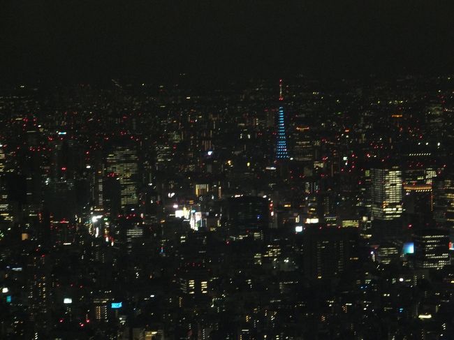 最高到達点からの眺め