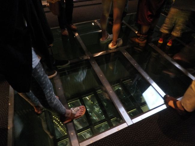 フロア340<br /><br />ガラス床<br />足元の真下、2m x 3mのガラスを通して広がる眺めは、ここでしか味わうことのできない迫力と興奮の演出。