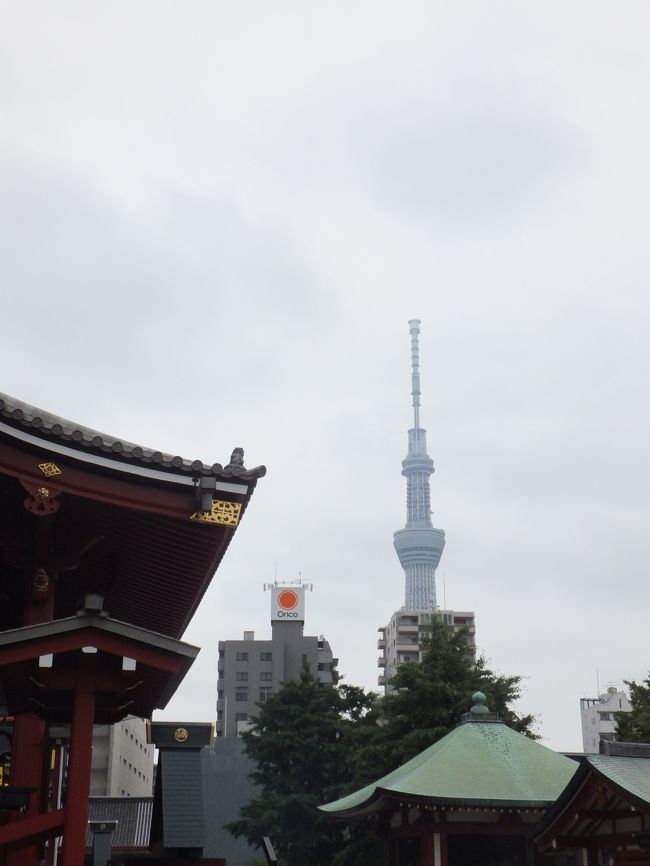 ここからもスカイツリーがみえます。