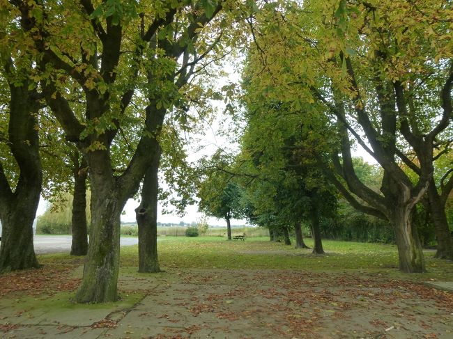 木々が色づいてきていました。