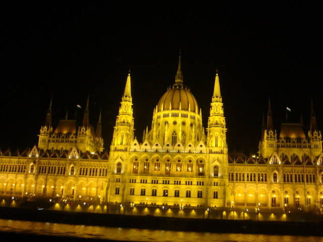 ドナウ川からの国会議事堂。きれい！