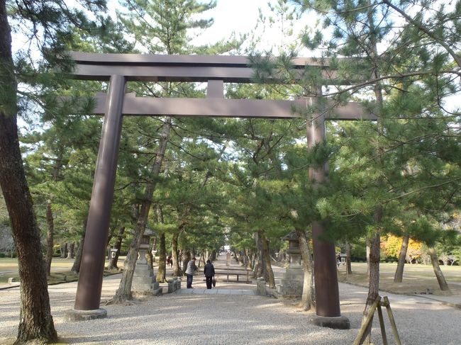 松の参道。<br />真ん中は通行禁止、両端を通ります。