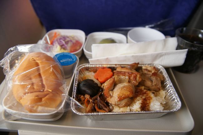 機内食はチキンライスがビーフヌードルで聞き取れたチキンライスを注文しました。寝不足からか、不味いのか両方なのかあんまり美味しく感じられず、食欲がない。そこまで多い量ではなかったけど残してしまった。 <br /><br />