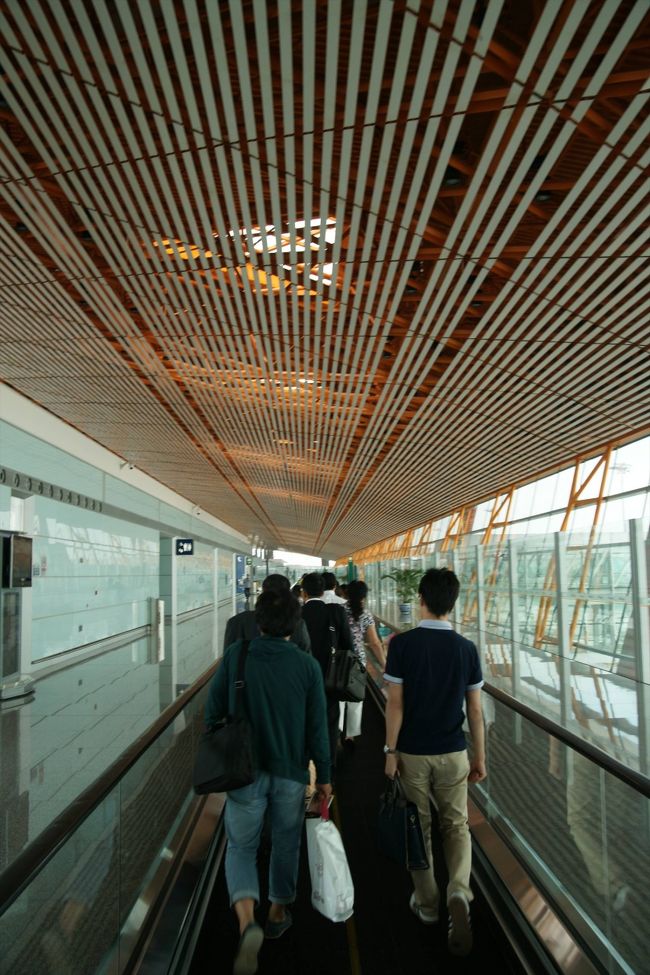 歩くと広さを感じます。