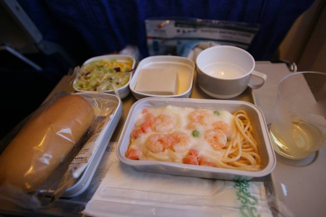 お昼を食べてから睡眠に入りました。お昼を食べてからはうるさかった中国人も静かになりました。外の景色も砂漠から針葉樹林帯に変わってフライトが順調に進んでいるのがわかります。あと3時間半でフランクフルトに到着で、そこで運命が決まると思うとまたドキドキしてきました。 <br /><br />2回目のランチはパスタをチョイス。もう一個は、相変わらず聞き取れませんでした。クリームソースのパスタは疲れた体にはちょっときついし、味の方もパスタがベチャベチャでまずい。