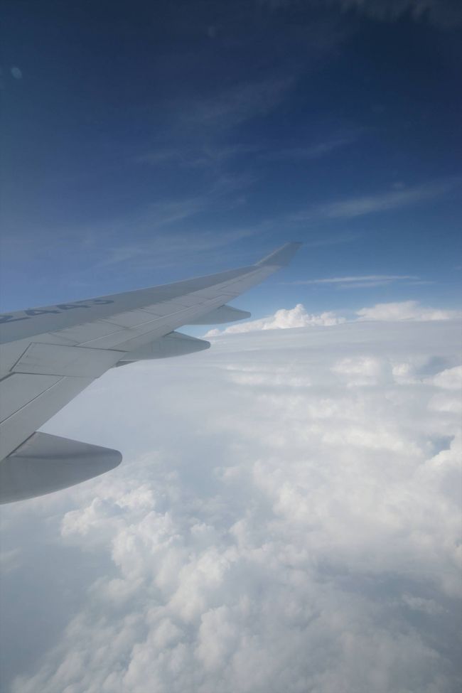 いよいよヨーロッパに入ったみたいです。ヨーロッパの大地は緑が多くて豊かな土地だというのを感じました。