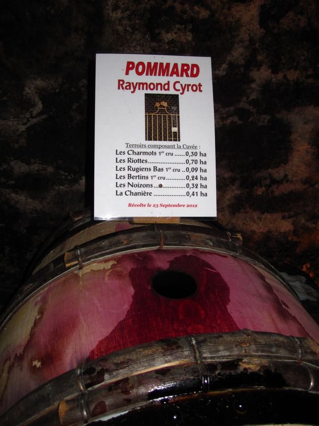 こぼしてる…何かちょっとしたことで笑える…酔っぱらったかな？