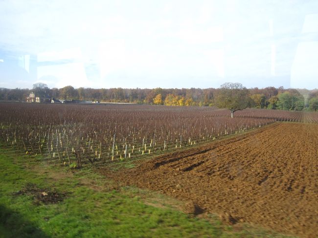 天気が良かったので、バスでボーヌに向かいました。何と、１．５ユーロ、安い。rue des grand cru をひた走ります。のどかで平和です。この選択が、後で、後悔を招くことも知らず…<br /><br /><br />ちょっと長くなってしまったので、後半に続きます…