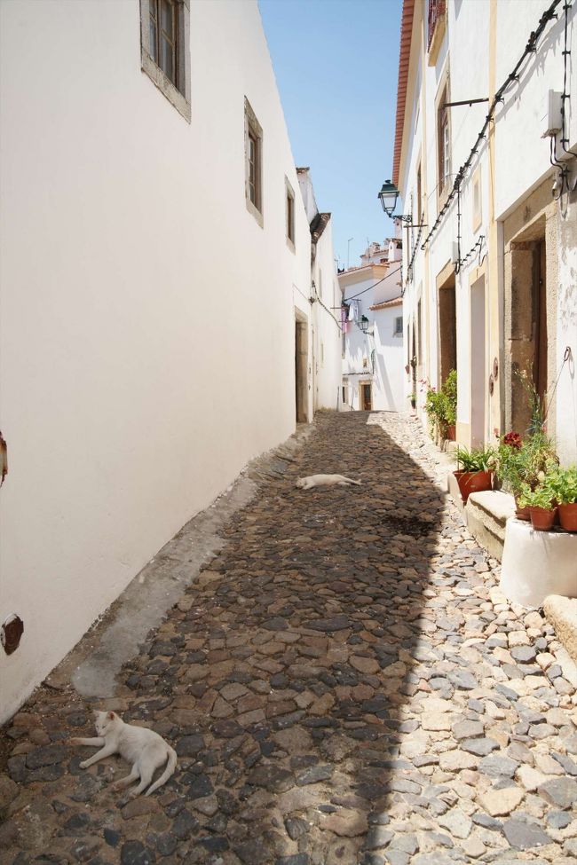 ユダヤ人街は坂にあって家々が本当にビッシリ並んでいてさながら長屋といった感じです。同じような町並みが続くけど、軒先にかざってある花が違うだけ、洗濯物を干しているがどうかでも雰囲気が違うし、路地に出くわすたびに発見がある町でした。 <br /><br />