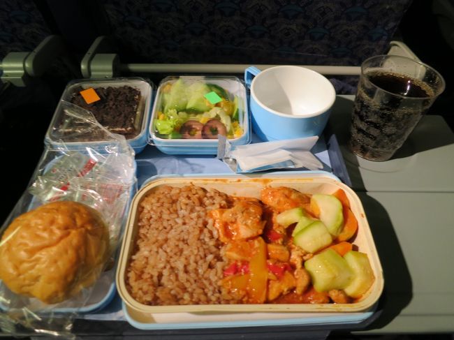 chiken<br /><br /><br /><br />う、うまくない。<br /><br /><br />行きのフライトはそんなに感じなかったのに。<br /><br /><br /><br />行きは日本製、帰りはエジプト製とかなのか。