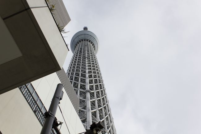 ベビーカーでlet S Go 初めての東京スカイツリー 泣かずにソラカラポイントまで登れるか その 浅草 東京 の旅行記 ブログ By Qantastelstraさん フォートラベル ベビーカーでlet S Go 初めての東京スカイツリー 泣かずにソラカラポイントまで登れるか その 浅草 東京 の旅行記 ブログ By Qantastelstraさん フォートラベル