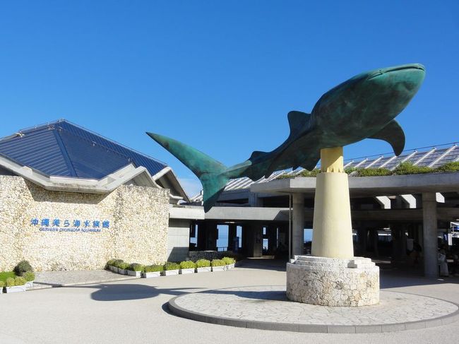 初の沖縄といえば、美ら海水族館は外せません。