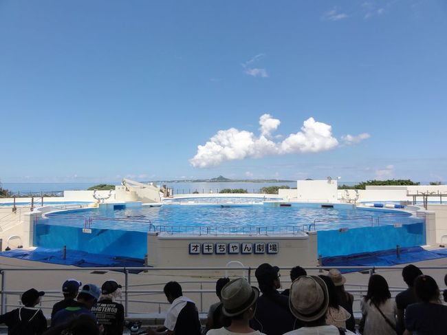 イルカショーもやっているので見てみる。別料金とかはないのでぜひ。