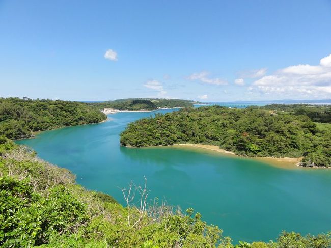 美ら海水族館の近くにもうひとつぜひ行っておきたい場所があったのでドライブ！